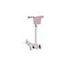 Eco Scooter Step - LAVENDER