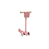 Eco Scooter Step - RASPBERRY