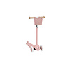 Eco Scooter Step - DUSTYROSE