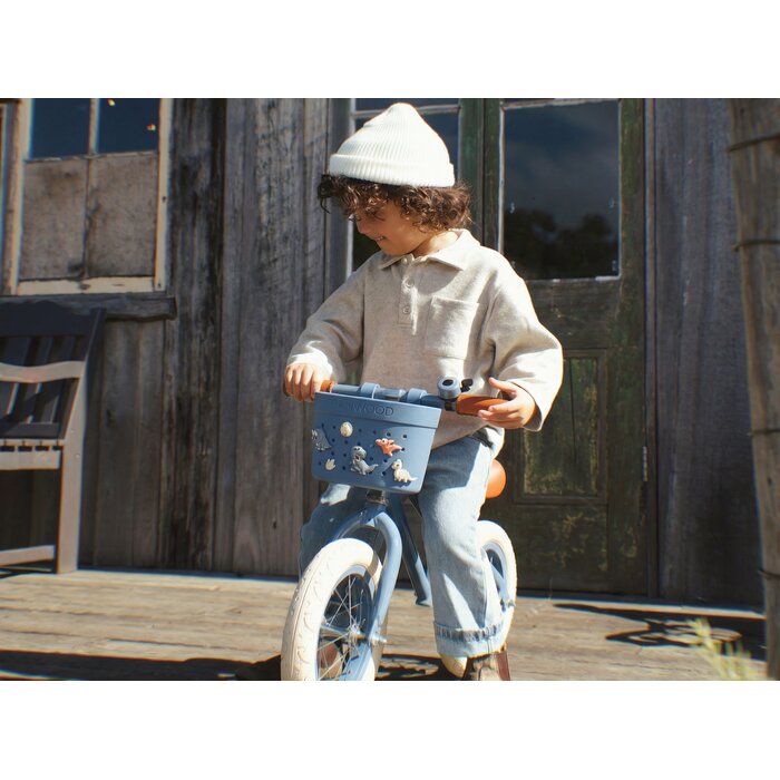 Banwood Banwood - Pins voor fietsmandje - DINOSAURS