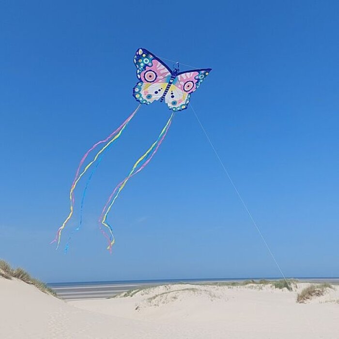 Djeco VLIEGER - MAXI BUTTERFLY