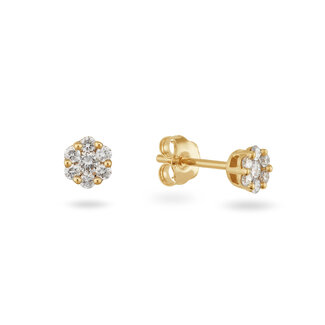 Rosette oorstekers - 0.20 ct