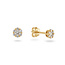 Rosette oorstekers - 0.20 ct