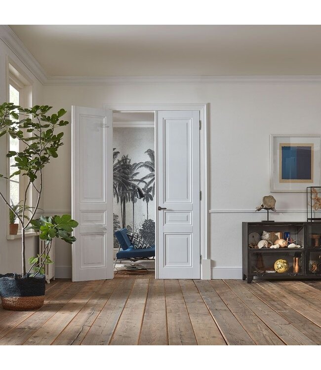 Skantrae Skantrae binnendeur SKS 2243