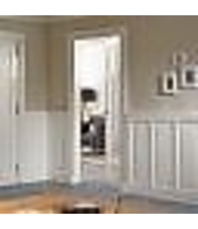 Skantrae Skantrae binnendeur SKS 231 Satinato glas