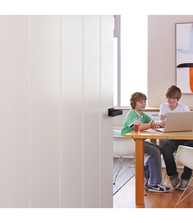 Austria Austria binnendeur Liniedor Lodret