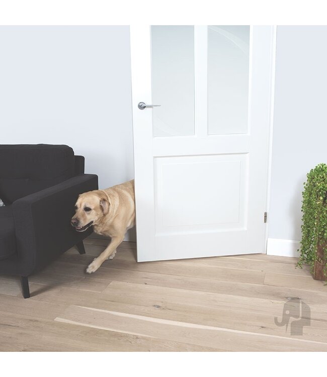 Austria Austria binnendeur Balance New York Satijn Glas