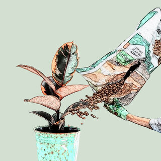 Podlewanie hydroponiki