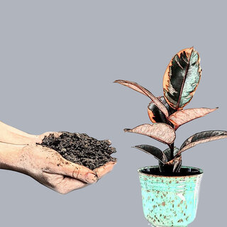 Nawożenie – informacje ogólne