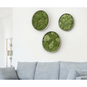 Okrągły obraz z mchu