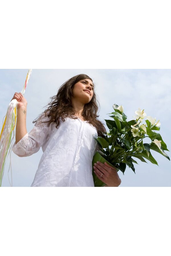 Anturium White Champion M