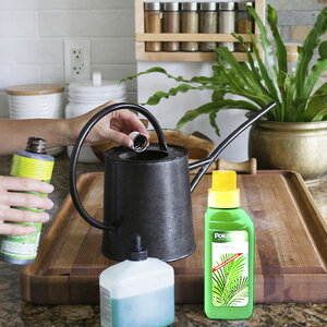 Pokarm dla roślin doniczkowych