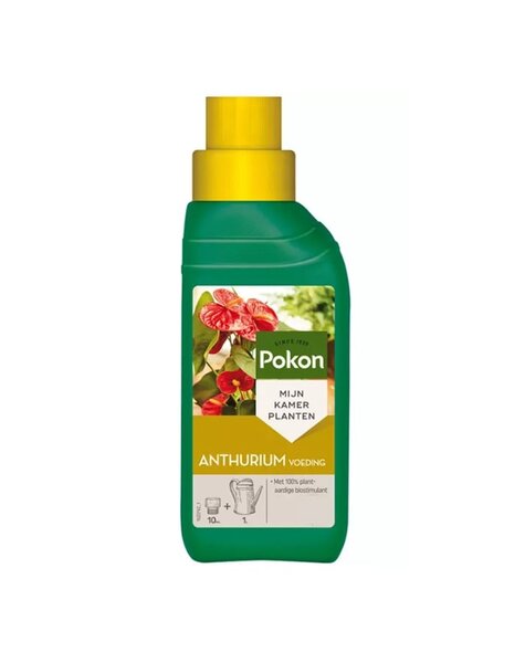Pokon Pokarm dla anturium