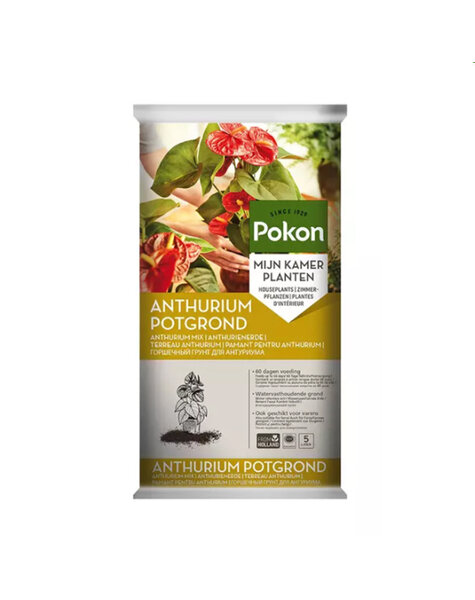 Pokon Ziemia doniczkowa do anturium