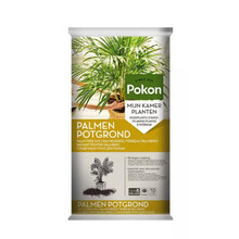 Pokon Ziemia do palm