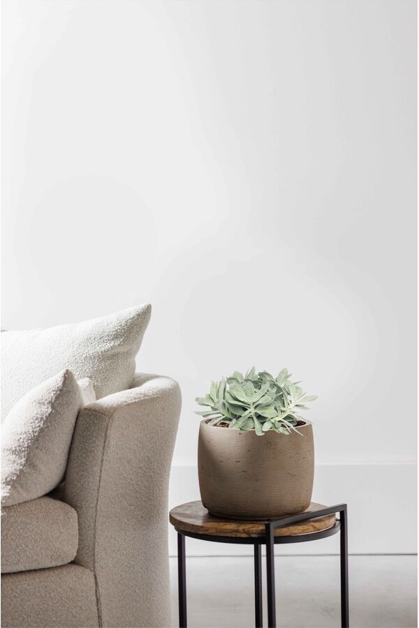 Starzec Mountain Fire Jasny