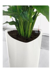 Delta All Inclusive L