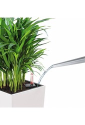 Kubus All Inclusive M