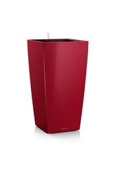 Kubus All Inclusive M