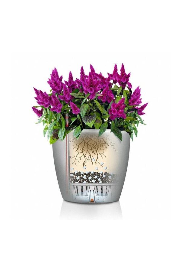 Klasyczny zestaw All Inclusive S