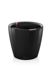 Klasyczny All Inclusive M