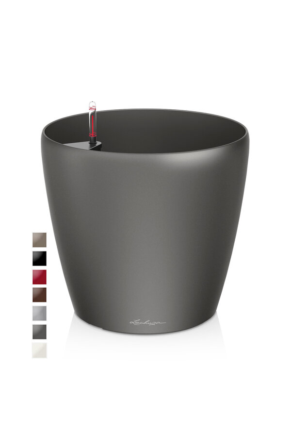 Klasyczny All Inclusive L