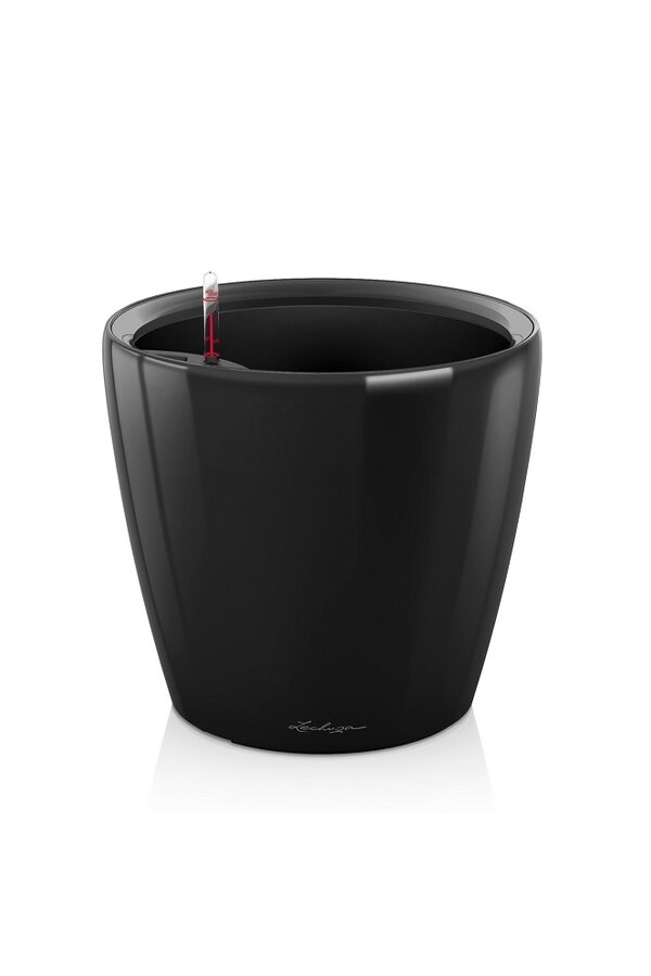 Klasyczny All Inclusive L