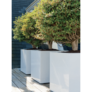 Zdjęcie 2 roślinność zewnętrzna