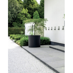 Zdjęcie 5 roślinność zewnętrzna