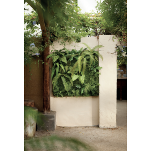 Zdjęcie 4 sztuczne rośliny