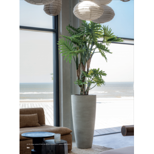 Zdjęcie 5 sztucznych roślin