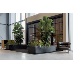 Obraz 2 luźna roślinność