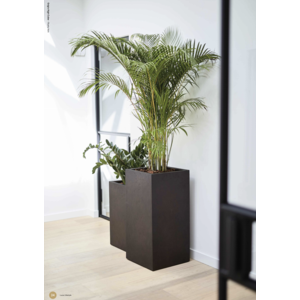 Zdjęcie 3 luźna roślinność