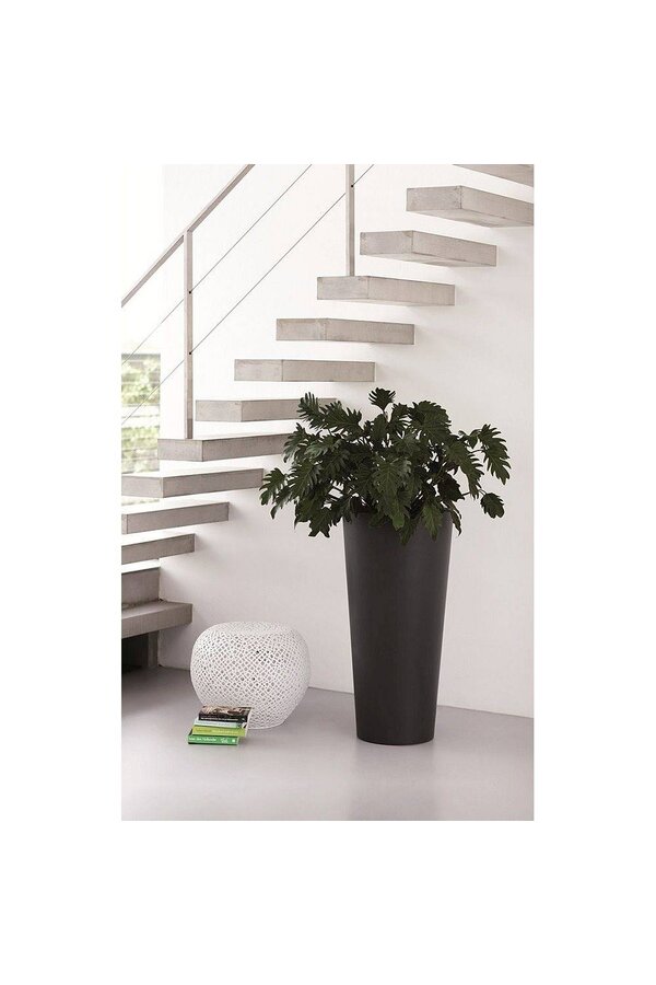 Czysta gładka okrągła wysoka