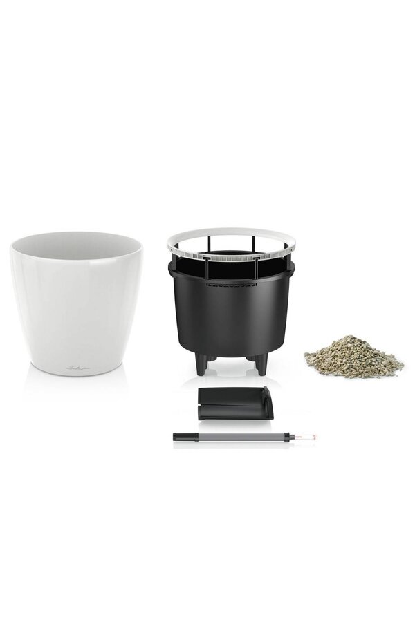 Storczyki w Samonawadniającej Classico