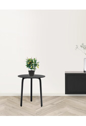 Drzewko cytrynowe na stojaku XS