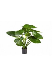Sztuczna roślina Alocasia calidora