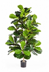 Sztuczna roślina Ficus lyrata