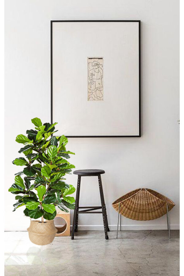 Sztuczna roślina Ficus lyrata
