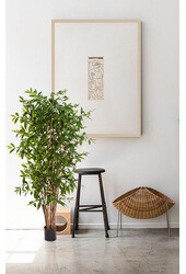 Dracaena smocza krew sztuczna roślina