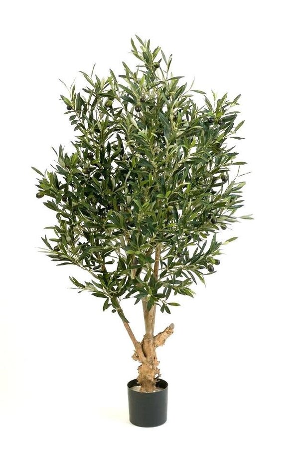 Sztuczna oliwka skręcona