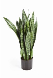 Sztuczna roślina Sansevieria
