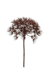 Heracleum czerwona gałąź sztuczna roślina