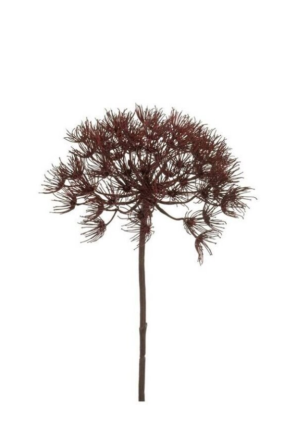 Sztuczna roślina Heracleum czerwona gałąź