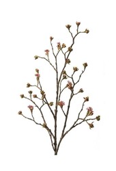 Acer sztuczna roślina