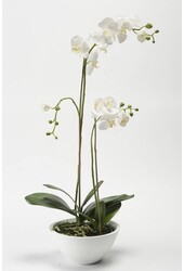 Orchidea w białej misce sztuczna roślina