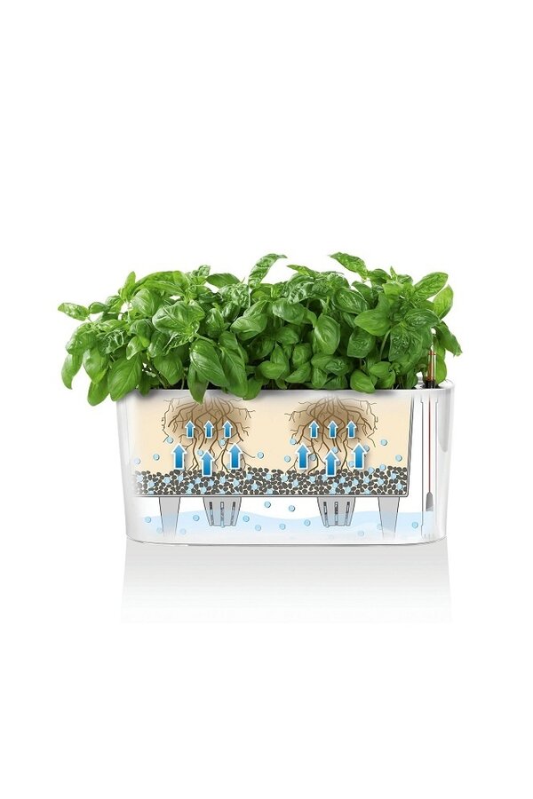 Delta Ovaal All Inclusive S