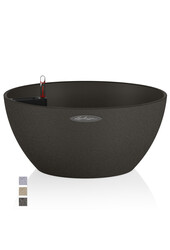 Cubeto All Inclusive 40