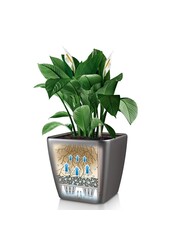 Quadro All Inclusive S