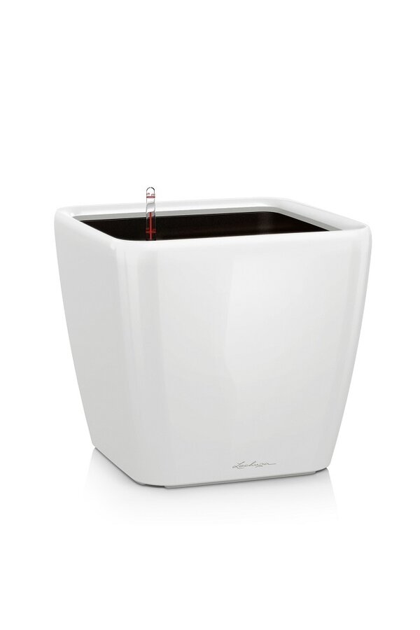 Quadro All Inclusive S